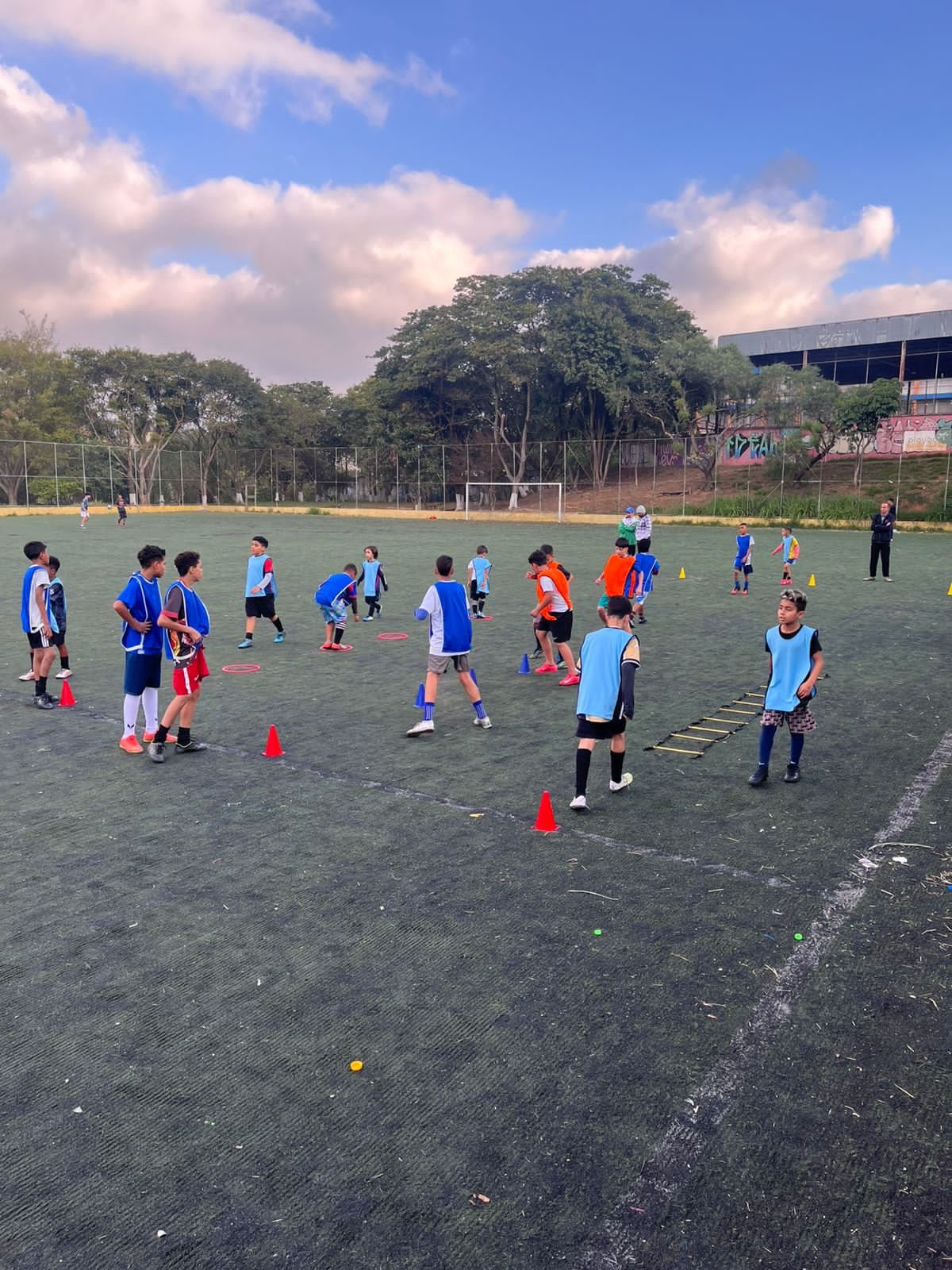 PROJETO CAMPO ABERTO